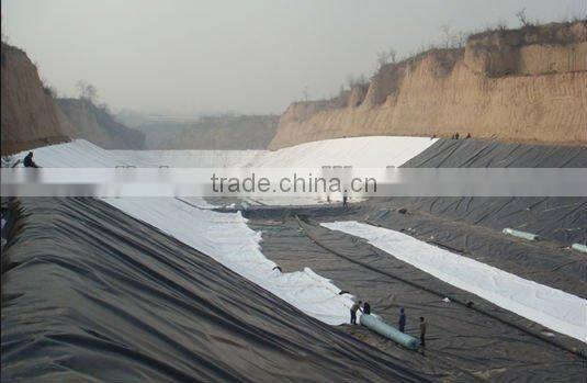 HDPE geomembrane