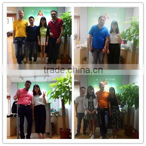 For iphone Ipad Mini Touch Screen Digitizer Touch +Home Button + IC for iPad Mini 1 for iPad Mini 2