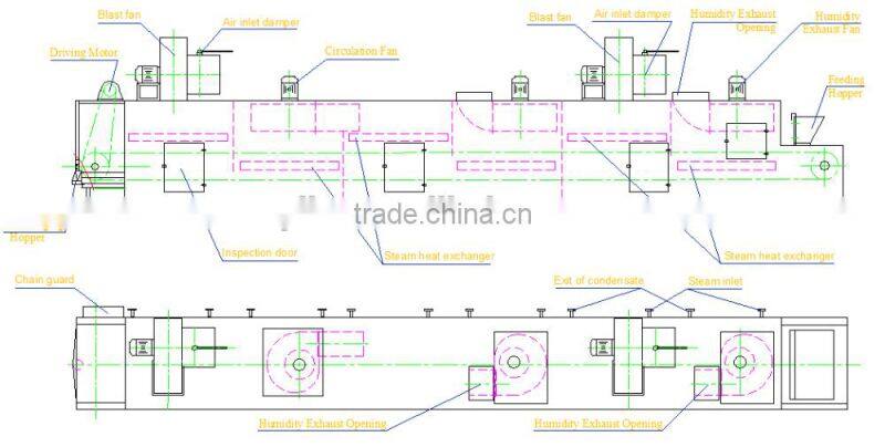 Mesh-belt Dryer for drying vegetable and fruits