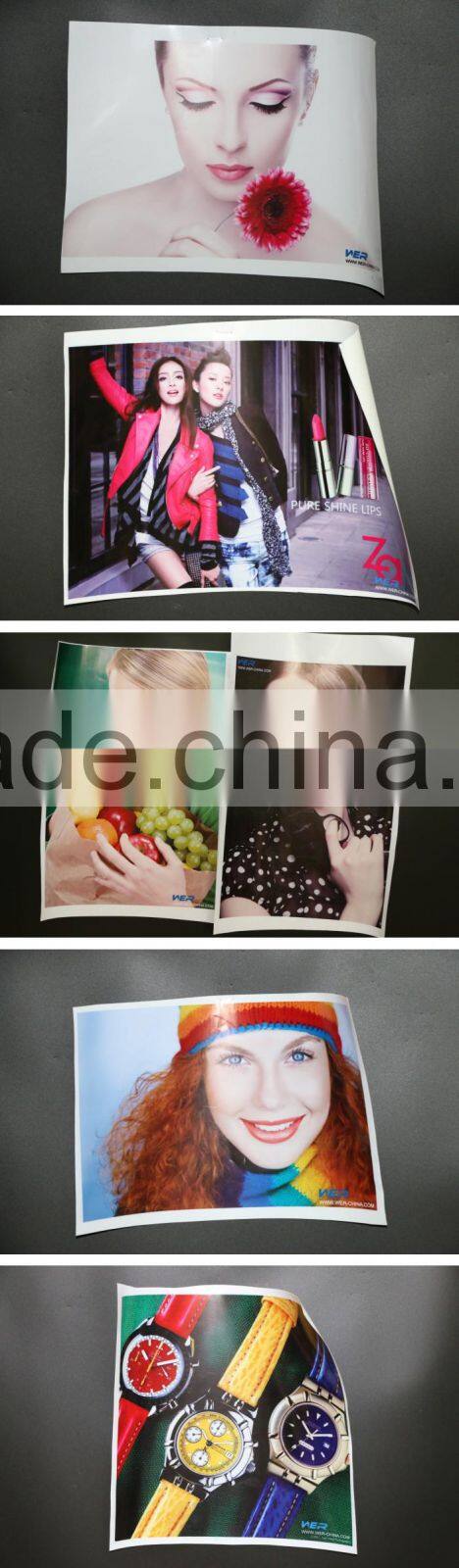 Cheap and best quality WER-china eco-solvent ink