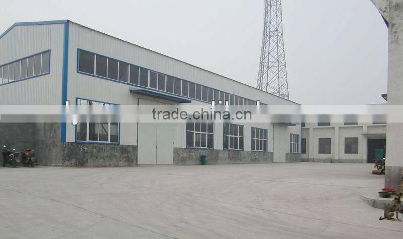 Screw type Industrial juice maker