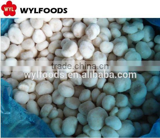 Top quality Frozen seaweed salad 2015