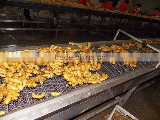 2016 crop air dried ginger at good price