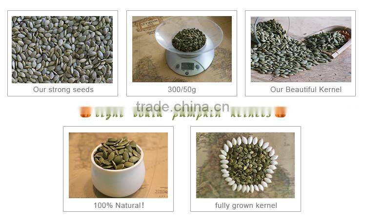 2015 crop edible light board pumpkin seed kernel in China