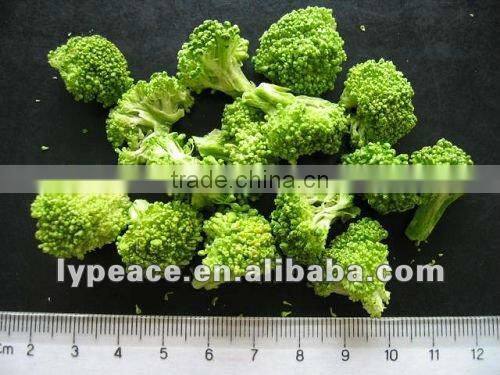 packed new crop dried broccoli flakes