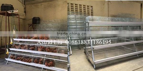Kenya Nairobi Warehouse 120 160 and 256 birds Chicken Layer Cage