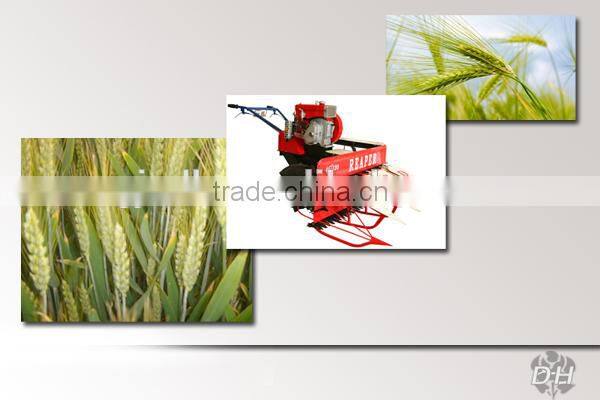 Household Low Cost Paddy Cutter Machine For Workshop