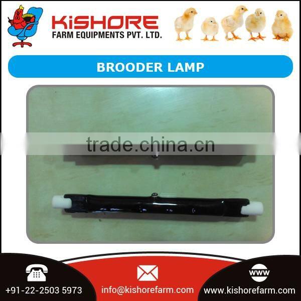 Brooder Lamp of Optimum Brand Sold by Indian Manufacturer