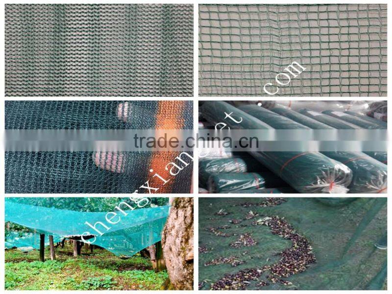 hdpe UV olive nets for sale