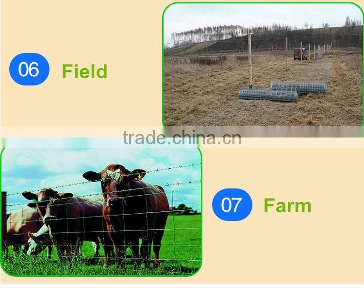 Get $1000 coupon powder coated double wire fence