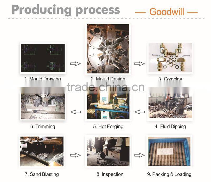 ss304/316 camlock coupling type f adaptor ma
