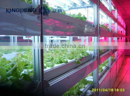 Fast Seedling Plant Factory for Vegetable