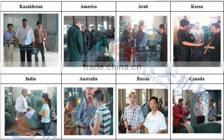 Hot selling Automatic fly ash brick making machine Road brick machine from Lantian made in China