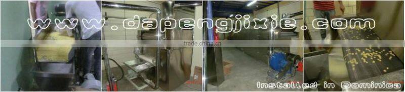 Jinan Eagle Kellogs breakfast cereals Corn flakes extruder production line