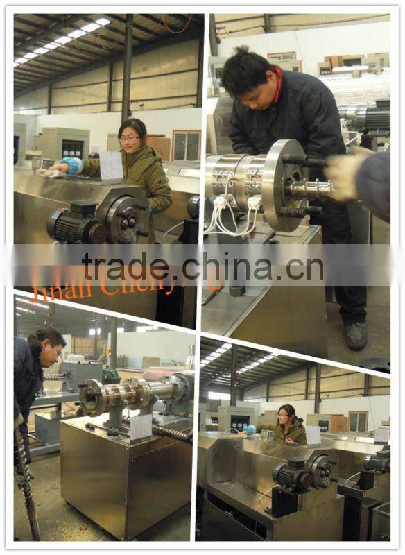 Series double screw food extruder