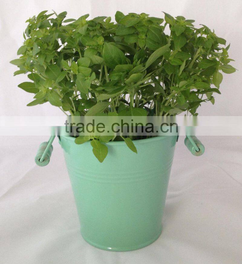 Zinc bucket / Metal Bucket