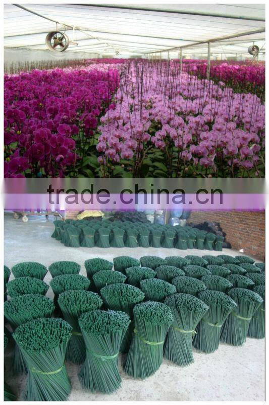 Nursery Tool Bamboo Products