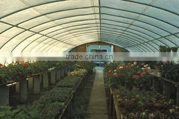 Economical Hydroponic Plastic Film Greenhouse Sytem