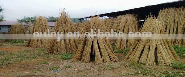 Dyed bamboo garden sticks with iron wire for planting tomatoes