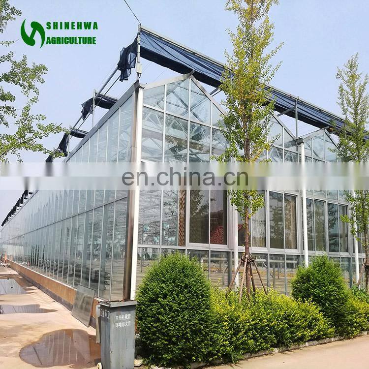 2019 China Cheap Hydroponics Greenhouse for Tomatoes glass greenhouse