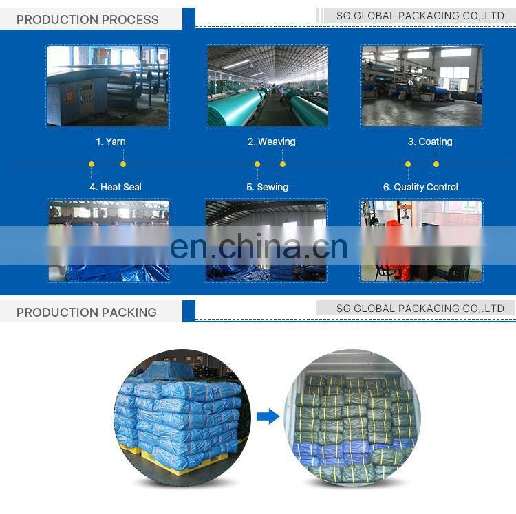 Made in China Tarpaulin PE Woven Fabric