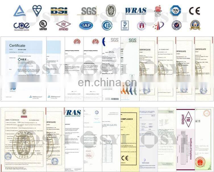 Ductile iron Flange strianer