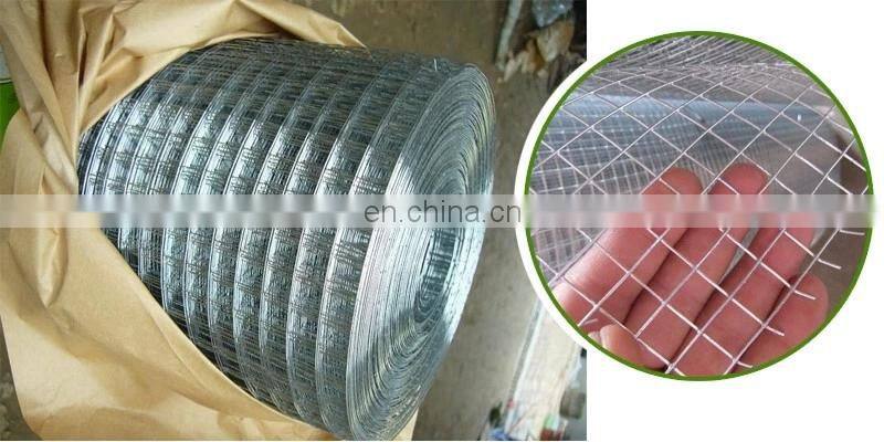Wire Mesh Chicken Hexagonal Wire Mesh Hexagonal Wire Mesh Netting