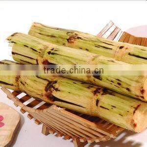 Newest function commercial battery sugarcane juicer