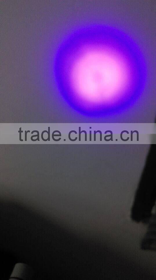 new product for 2015 uv light torch Keychain,promotional led laser pointer LED UV flashlight