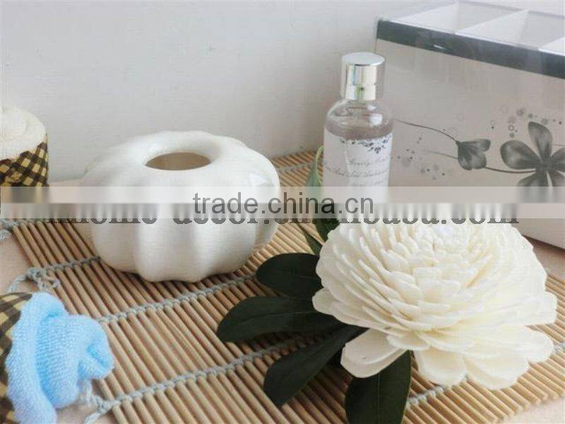 100ml ceramic aroma diffuser/aroma reed diffuser /home fragrance diffuser