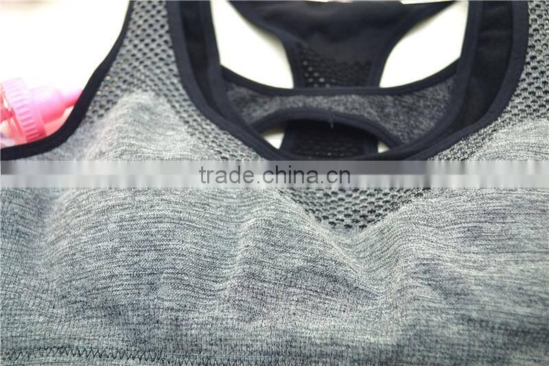 sexy ladies sport crop top padded bra underwear wholesale