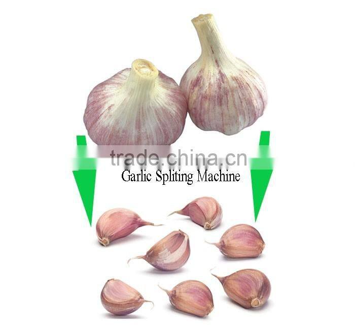 electrical automatic garlic break machines with high efficient