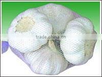 new crop chinese fresh white Garlic