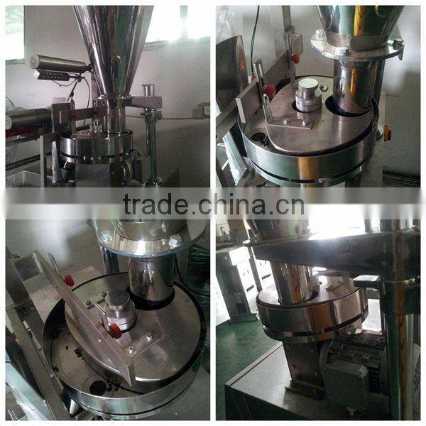 DXDK-100SJ Triangular Diet Teabag Automatic Packing Machine