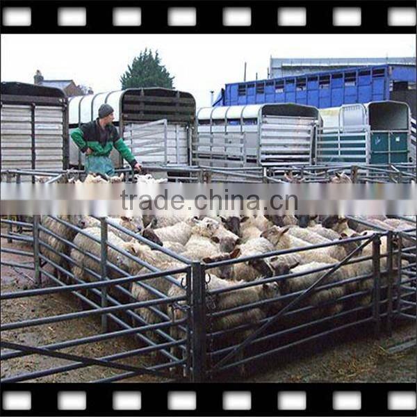 Anping hot dipped galvanized horse fence panel (ISO9001,CE,Factory)