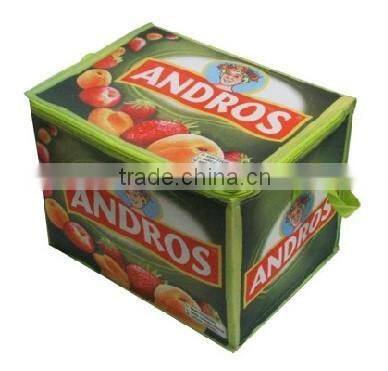 Promotional waterproof lunch bag