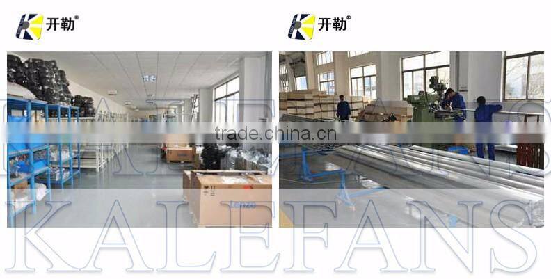 Cheap Large Industrial AC Fan