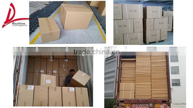 Renault Dacia Duster bumper low board