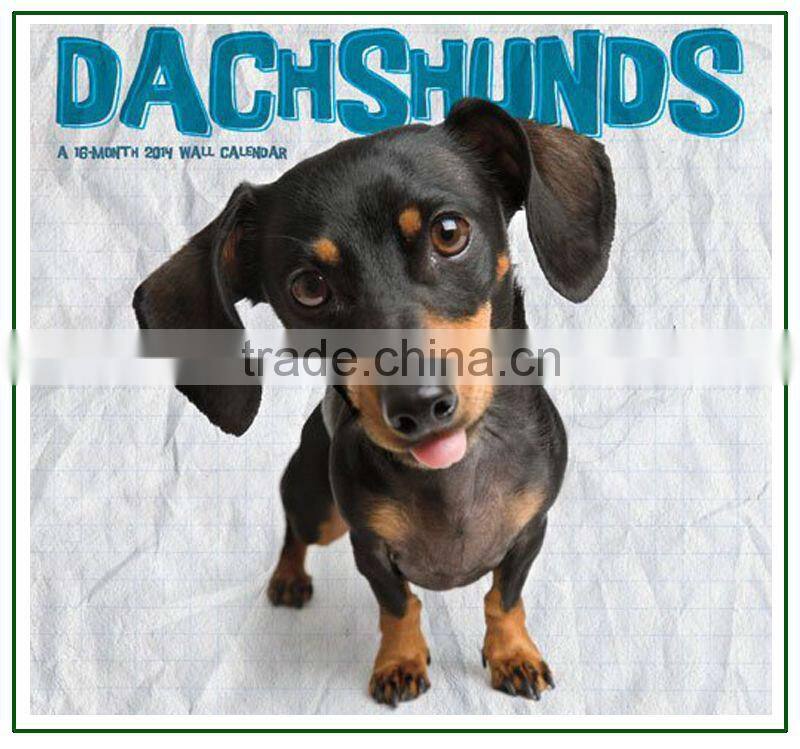 Lingerie 2014 wall hanging Calendar Chinese supplier