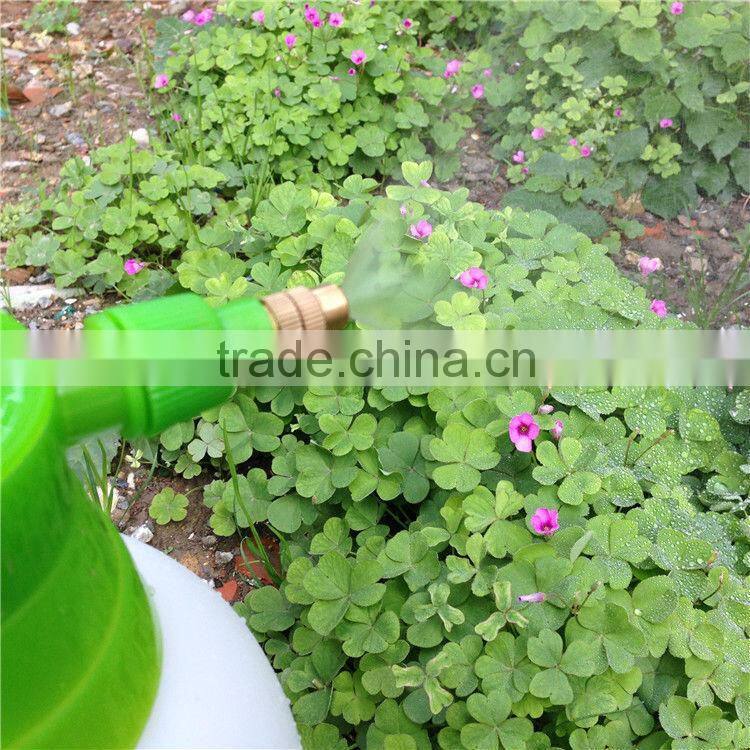 2L small manual pressure garden water sprayer