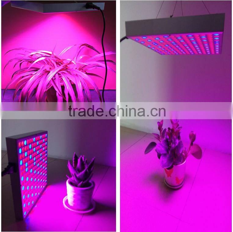 2016 High quality led grow light 14W LED plant grow customized color light led grow
