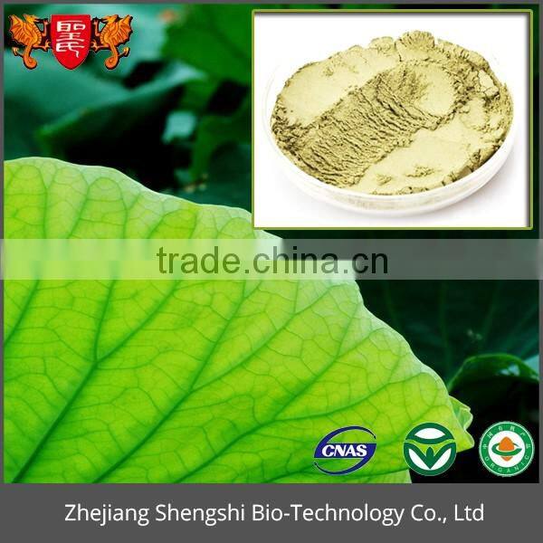 High quality Lotus leaf extract powder, fresh Lotus leaf extract