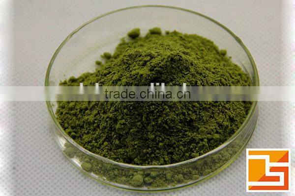 GMP factory supply barley leaf powder extract