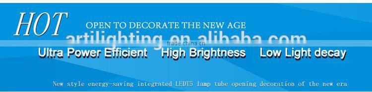 New design blue led tube T5 led tube