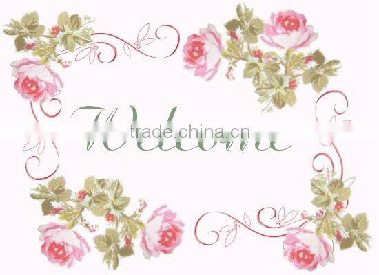 PF-PC71 acrylic bird cage