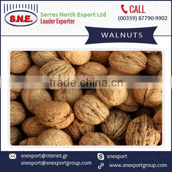 High Quality Walnuts with Shell and Without Shell at Cheap Rate