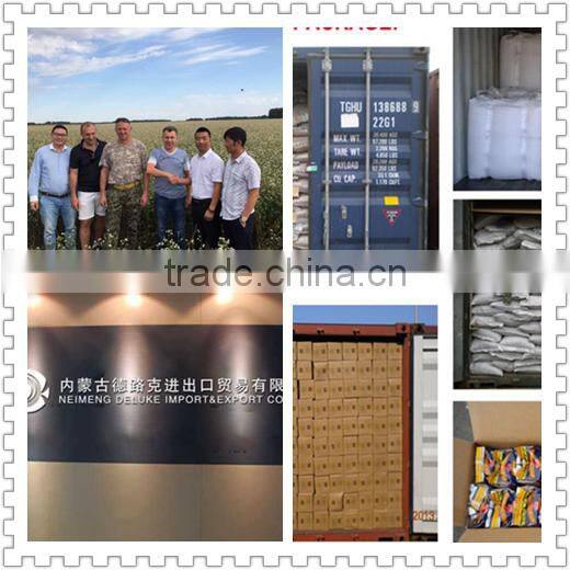 British type red kidney beans