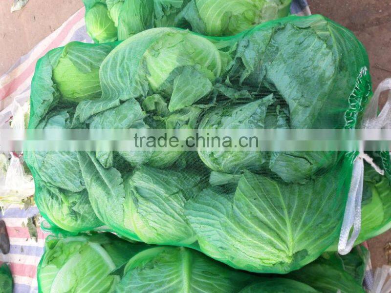 GIMEX VIETNAM FRESH CABBAGE CHEAP