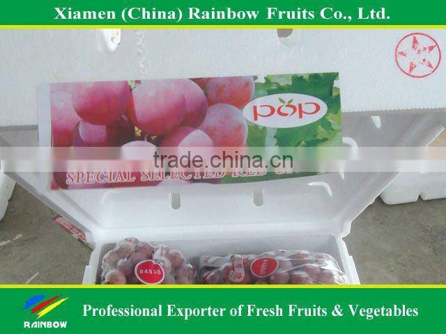 Chinese fresh delicious red table globe grape wine grapes