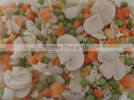Frozen mixed vegetables/mixed vegetables/frozen vegetables factory